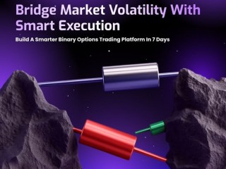 is-binary-option-trading-platform-development-profitable-for-entrepreneurs