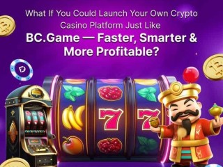 bcgame-clone-script-for-entrepreneurs-secure-scalable-revenue-ready