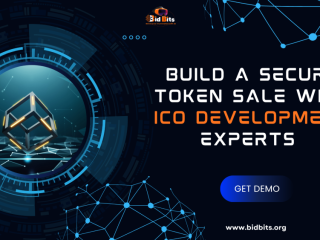 build-a-secure-token-sale-with-ico-development-experts