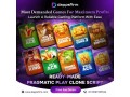 maximized-profitability-starts-with-this-high-rtp-pragmatic-play-clone-script-small-0