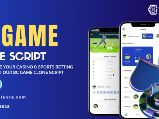 get-your-readymade-bc-game-clone-script-at-low-cost